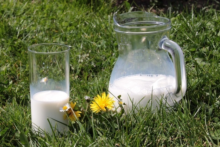 Rostlinné mléko - proč bychom ho měli pít?